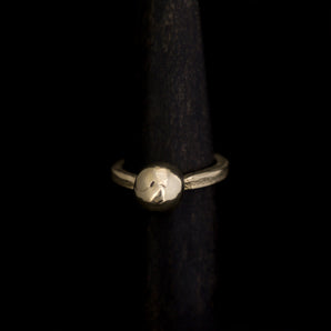 The Sun Ring